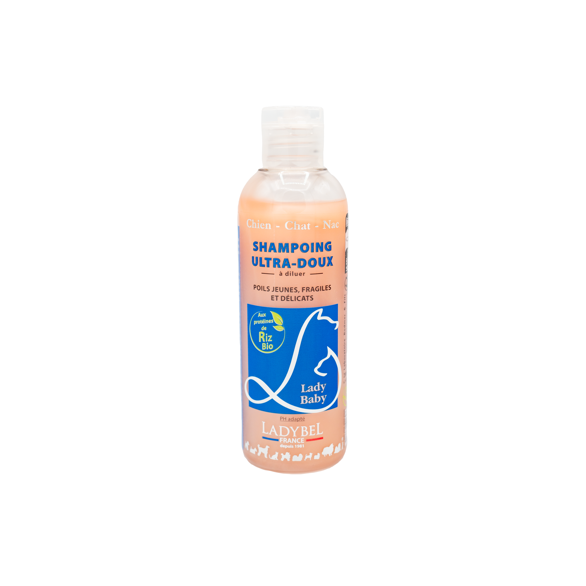 LadyBel Lady Baby Shampoo