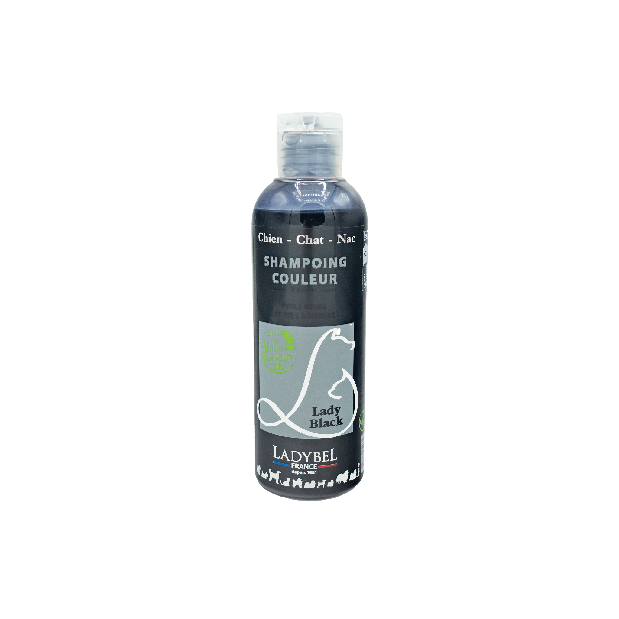 LadyBel Lady Black Shampoo