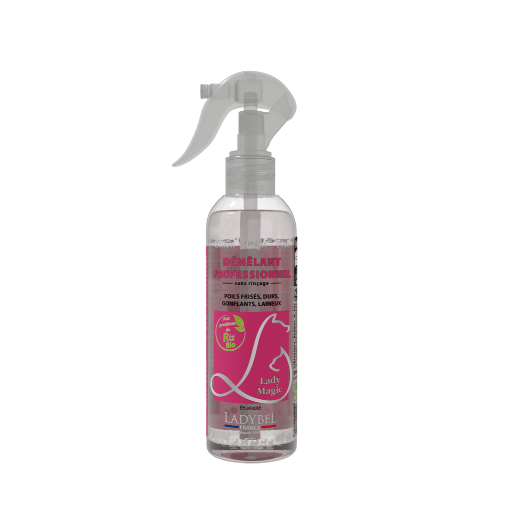 LadyBel Lady Magic Selvityssuihke