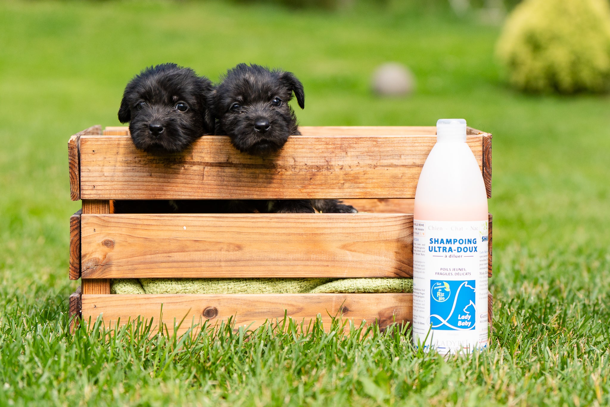 LadyBel Lady Baby Shampoo