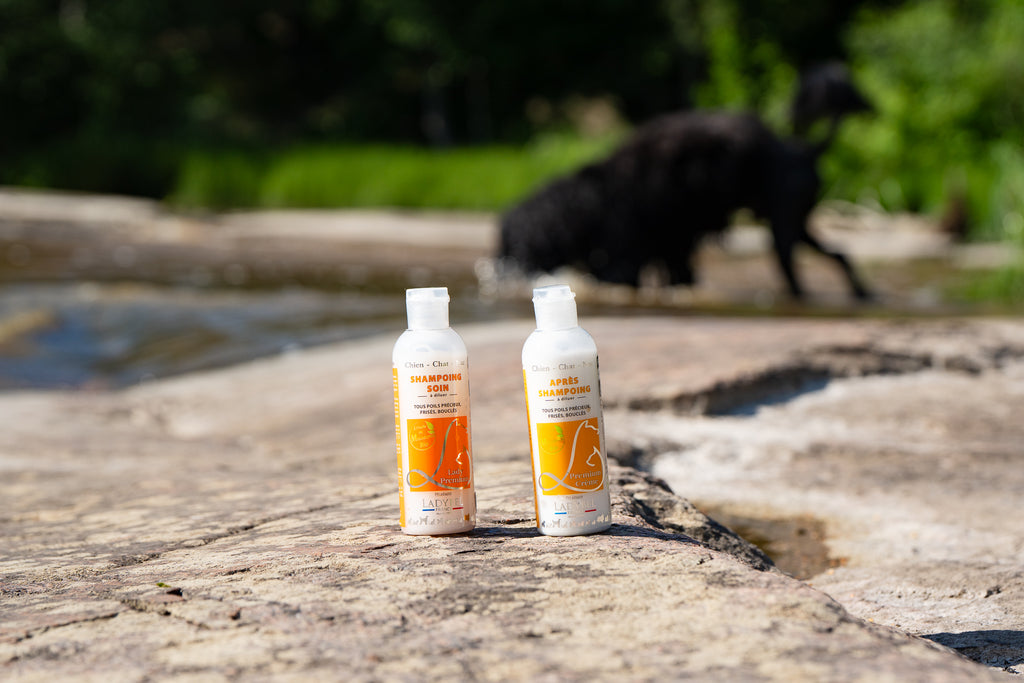 LadyBel Premium Cream Hoitoaine