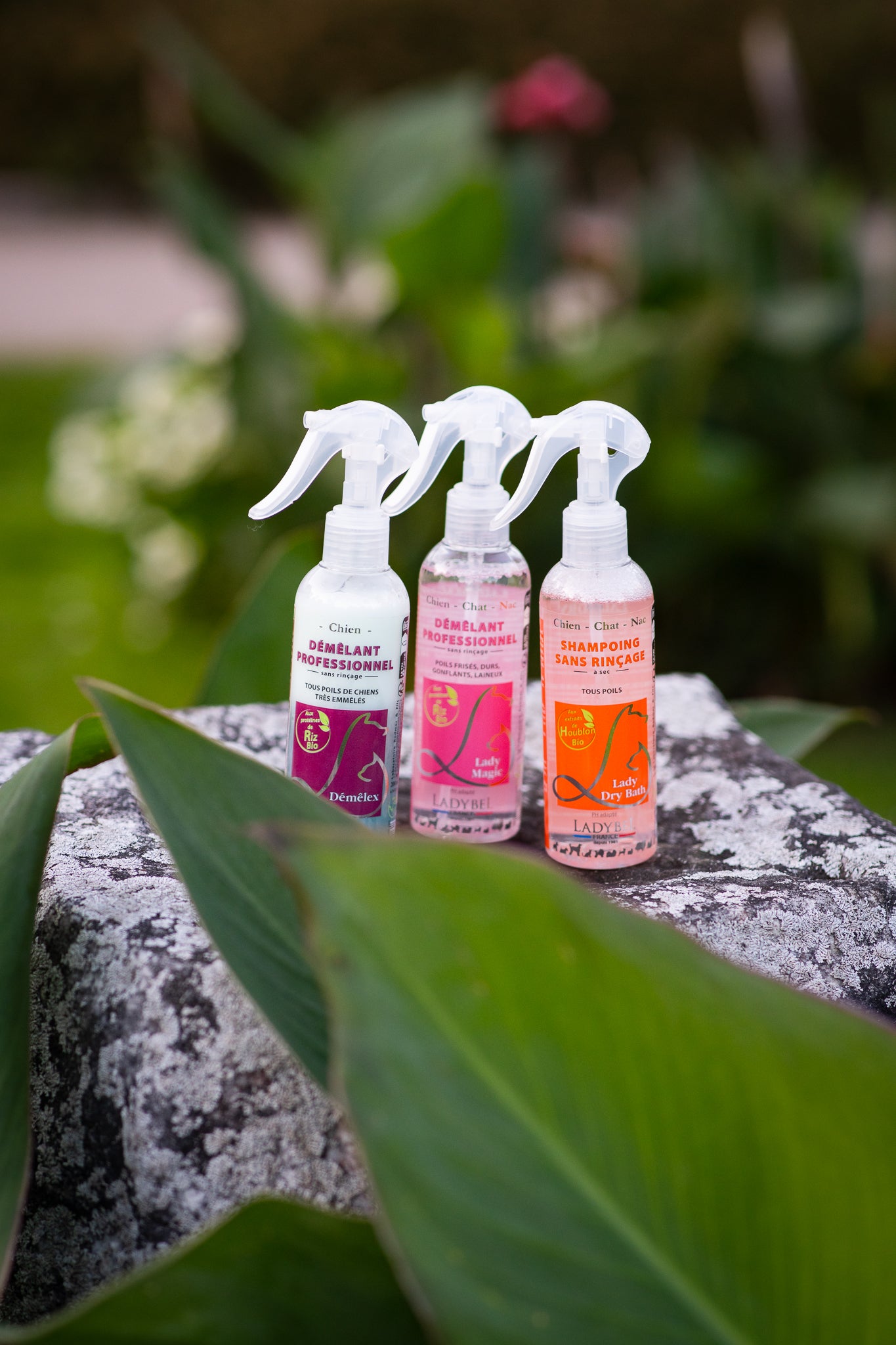 LadyBel Demelex Selvityssuihke