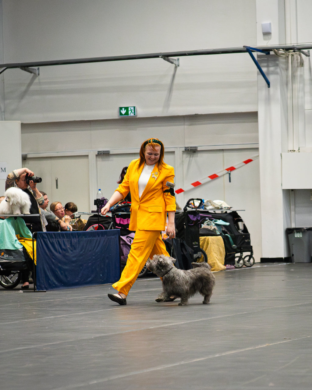 Dog Show Basics - Online Course