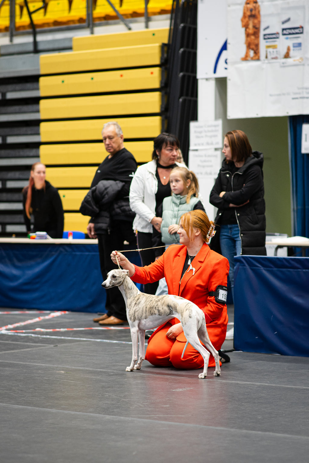 Dog Show Basics - Online Course