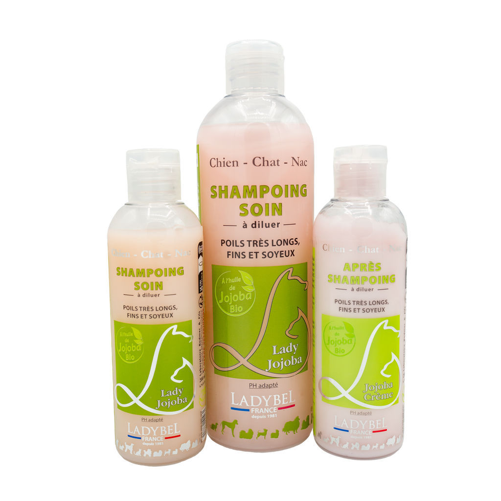 LadyBel Lady Jojoba Shampoo