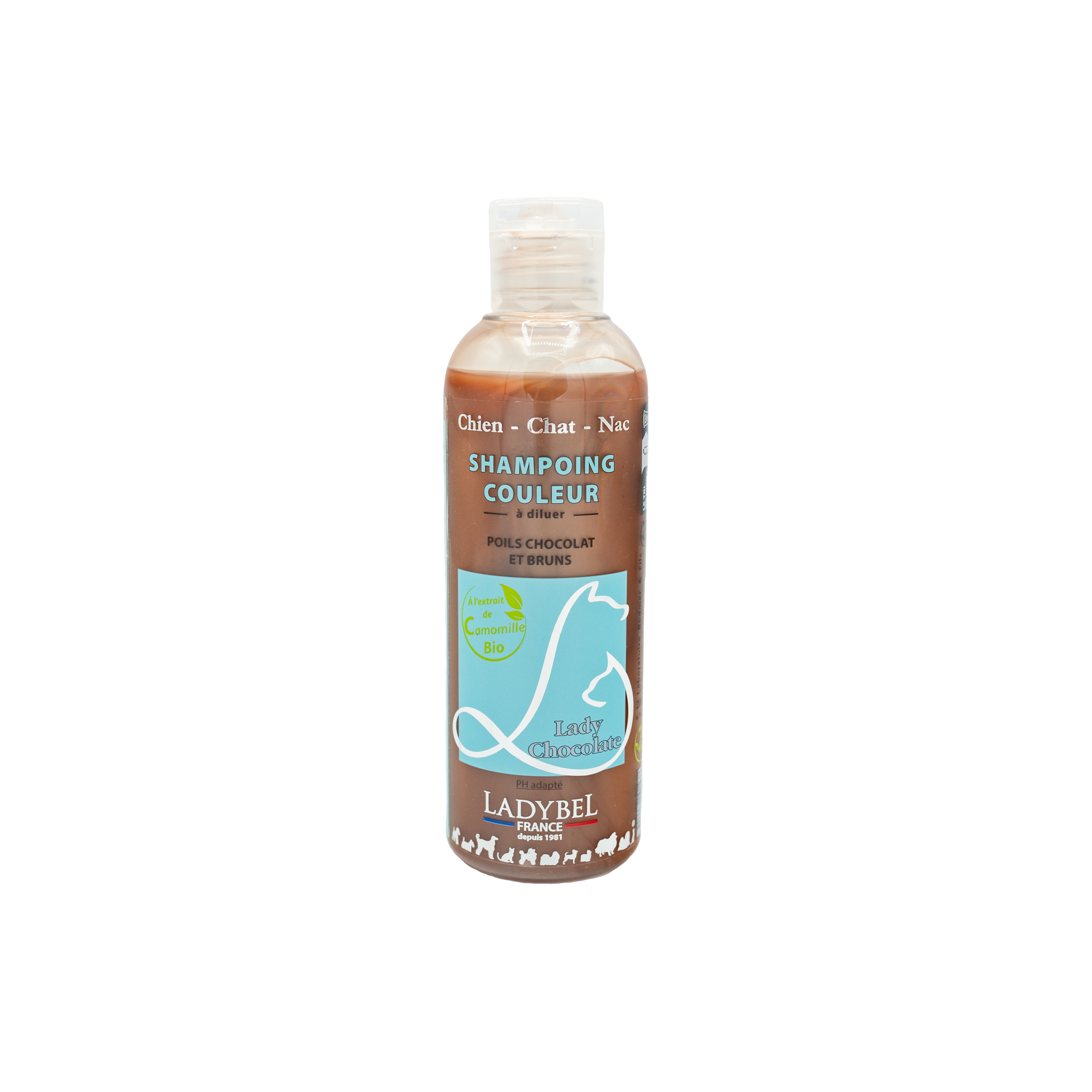 LadyBel Lady Chocolate Shampoo