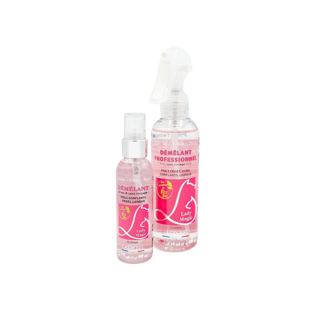 LadyBel Lady Magic Clarifying Spray