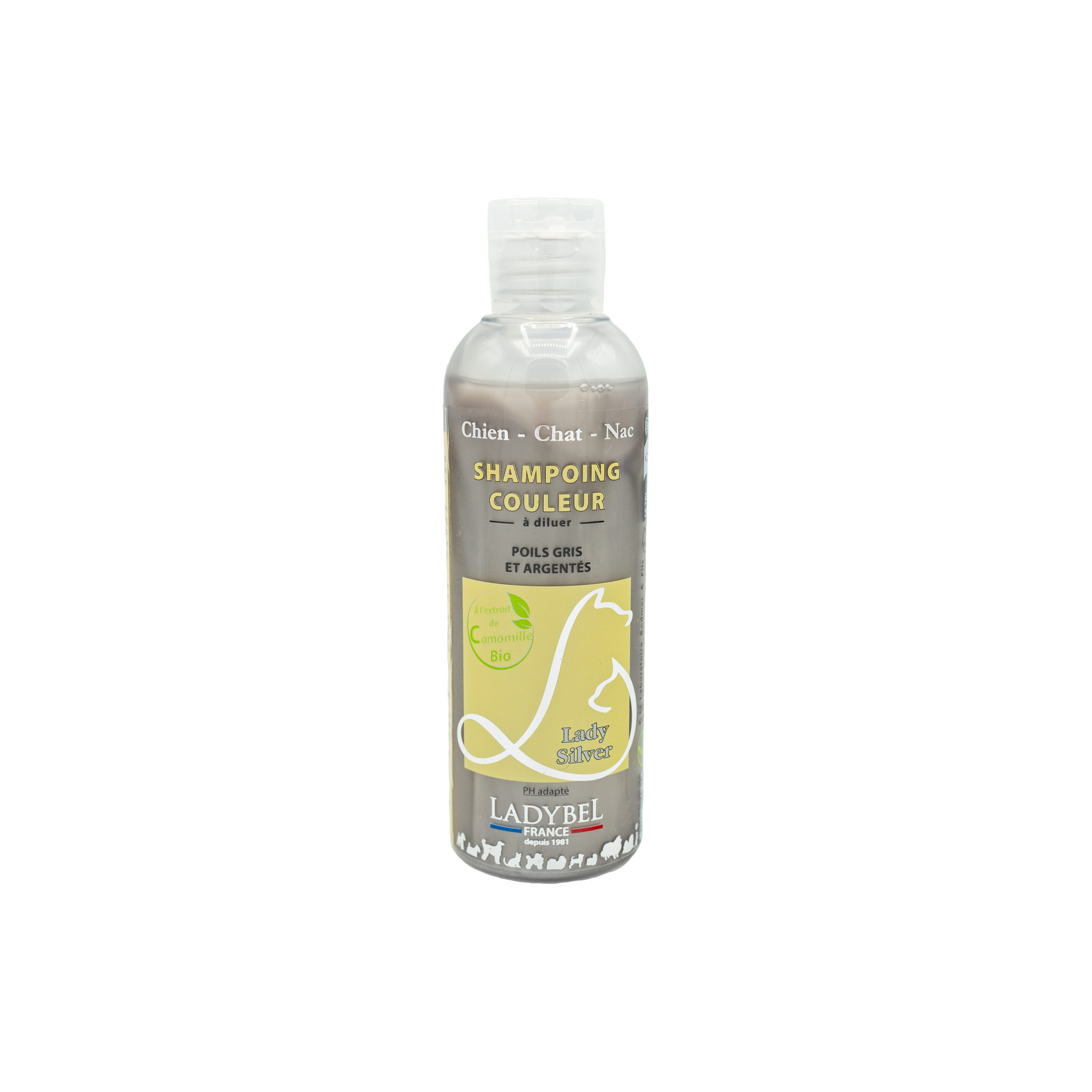 LadyBel Lady Silver Shampoo