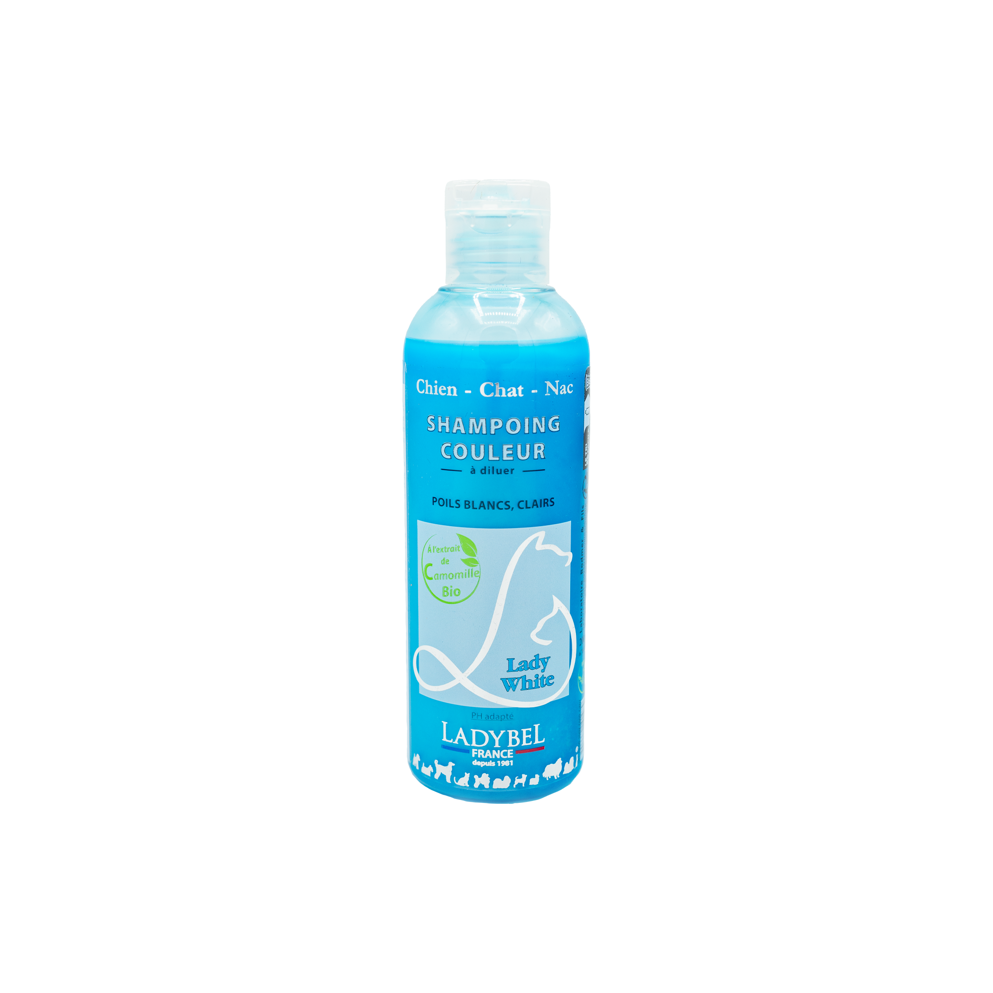 LadyBel Lady White Shampoo