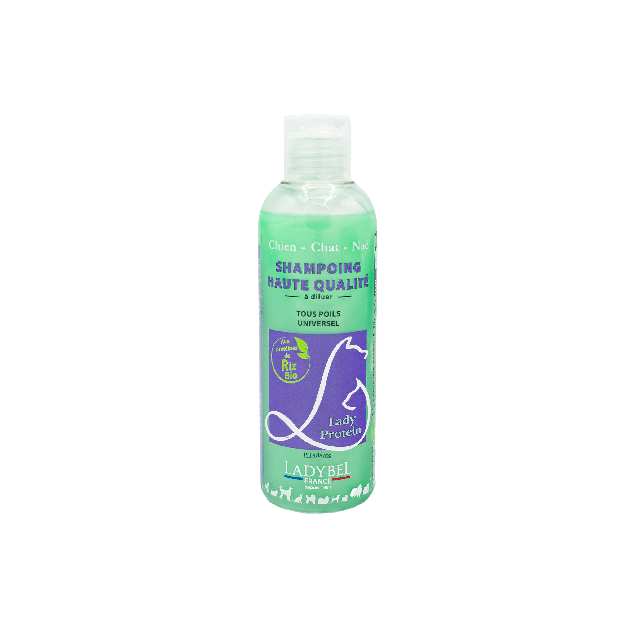 LadyBel Lady Protein Shampoo