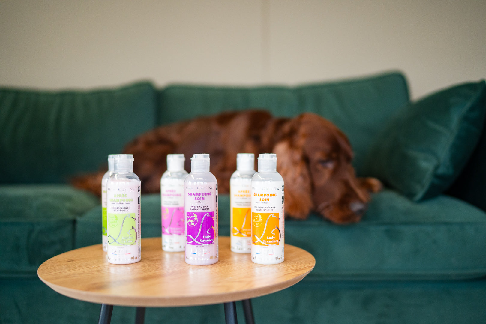 LadyBel Jojoba Cream Kosteuttava Hoitoaine