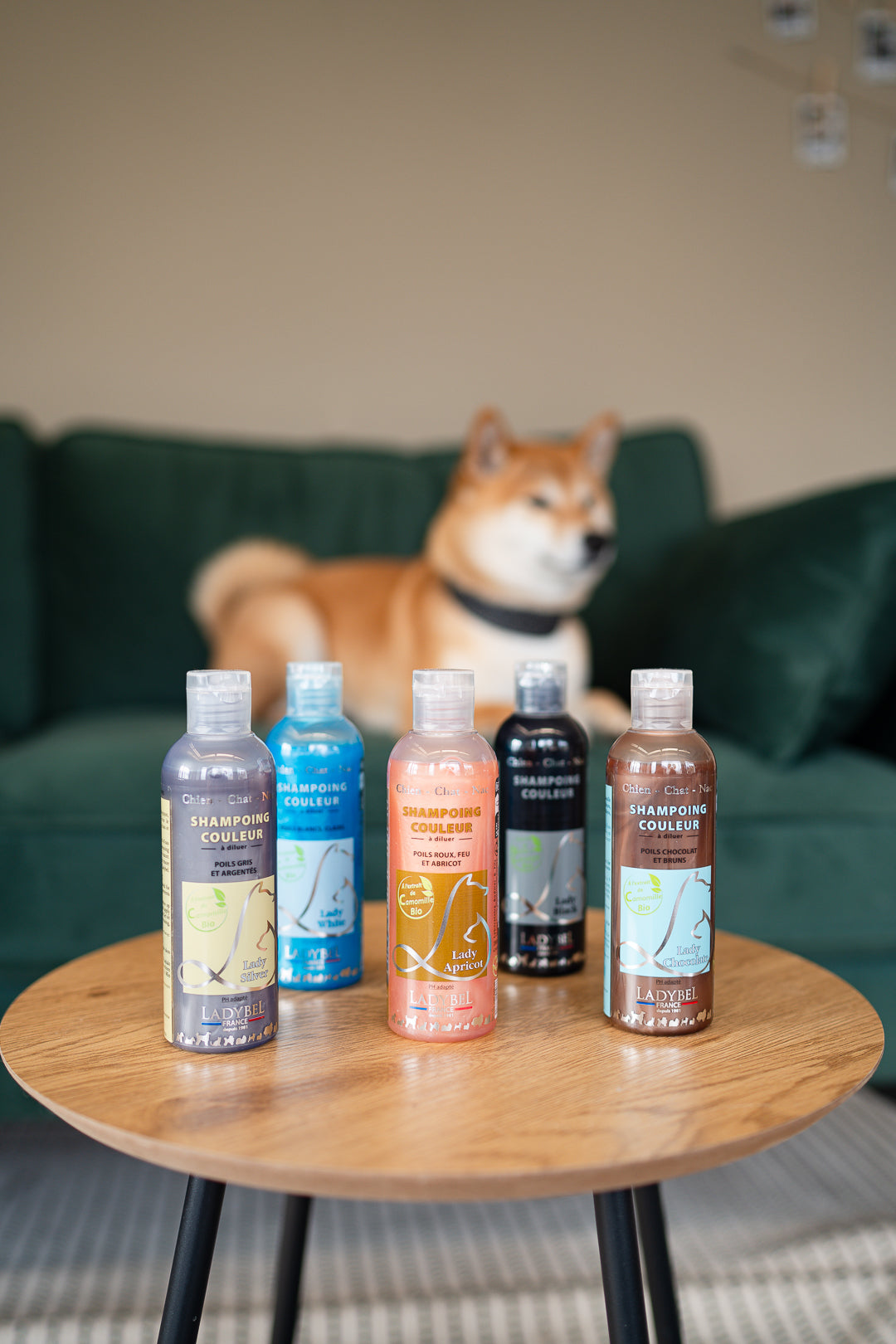 LadyBel Lady Apricot Shampoo