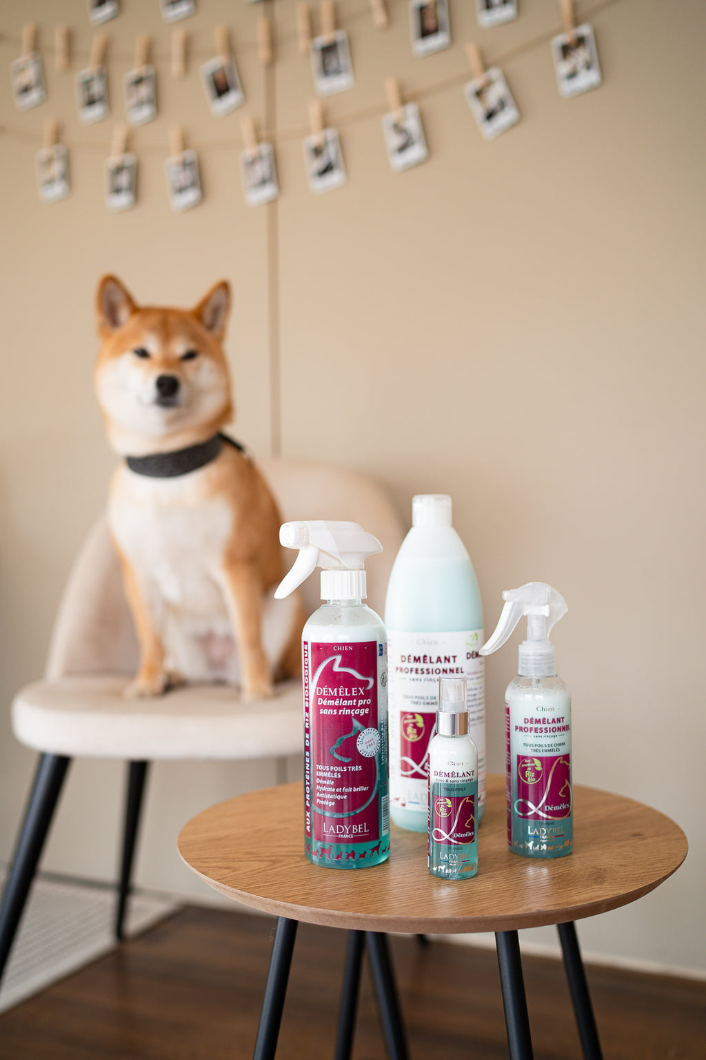 LadyBel Demelex Selvityssuihke