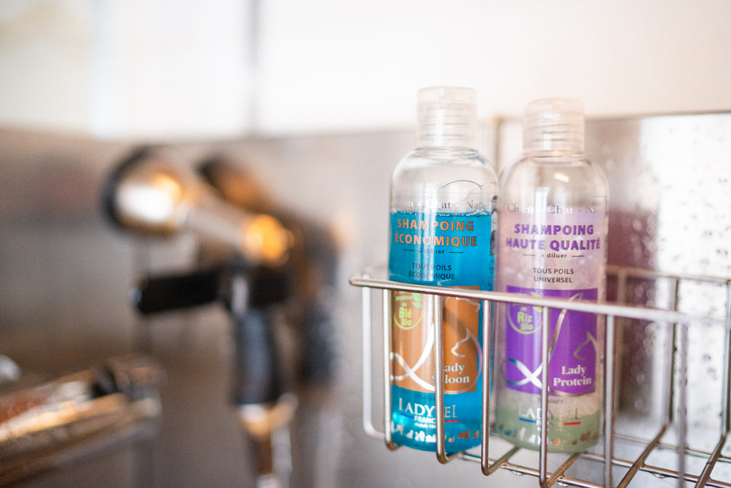 LadyBel Lady Saloon Shampoo