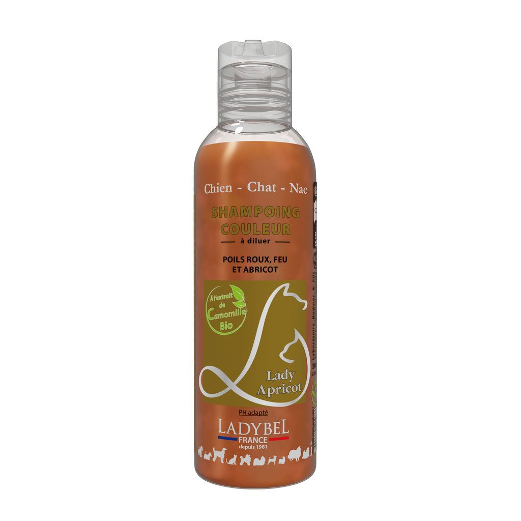 LadyBel Lady Apricot Shampoo