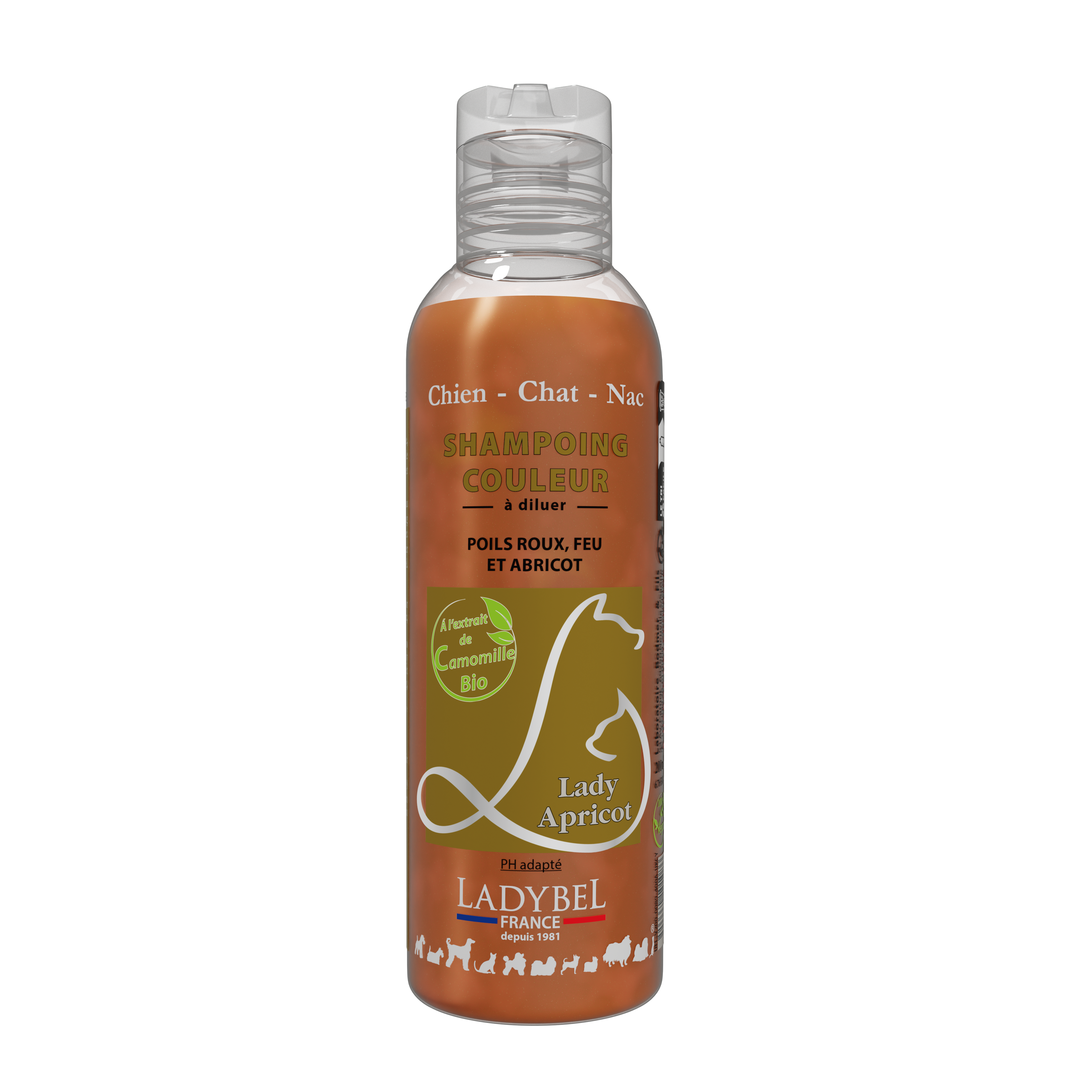 LadyBel Lady Apricot Shampoo
