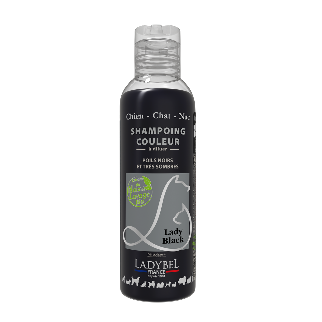 LadyBel Lady Black Shampoo