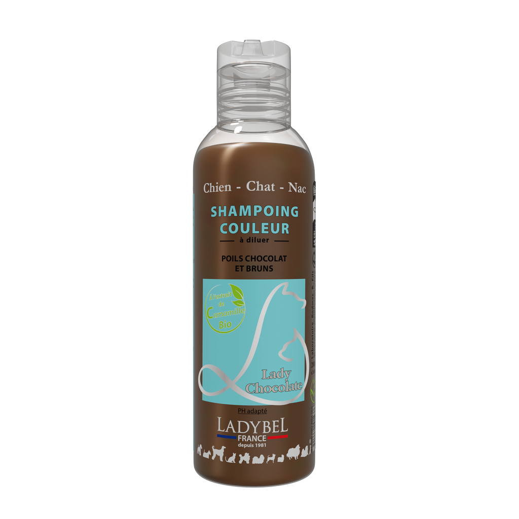 LadyBel Lady Chocolate Shampoo
