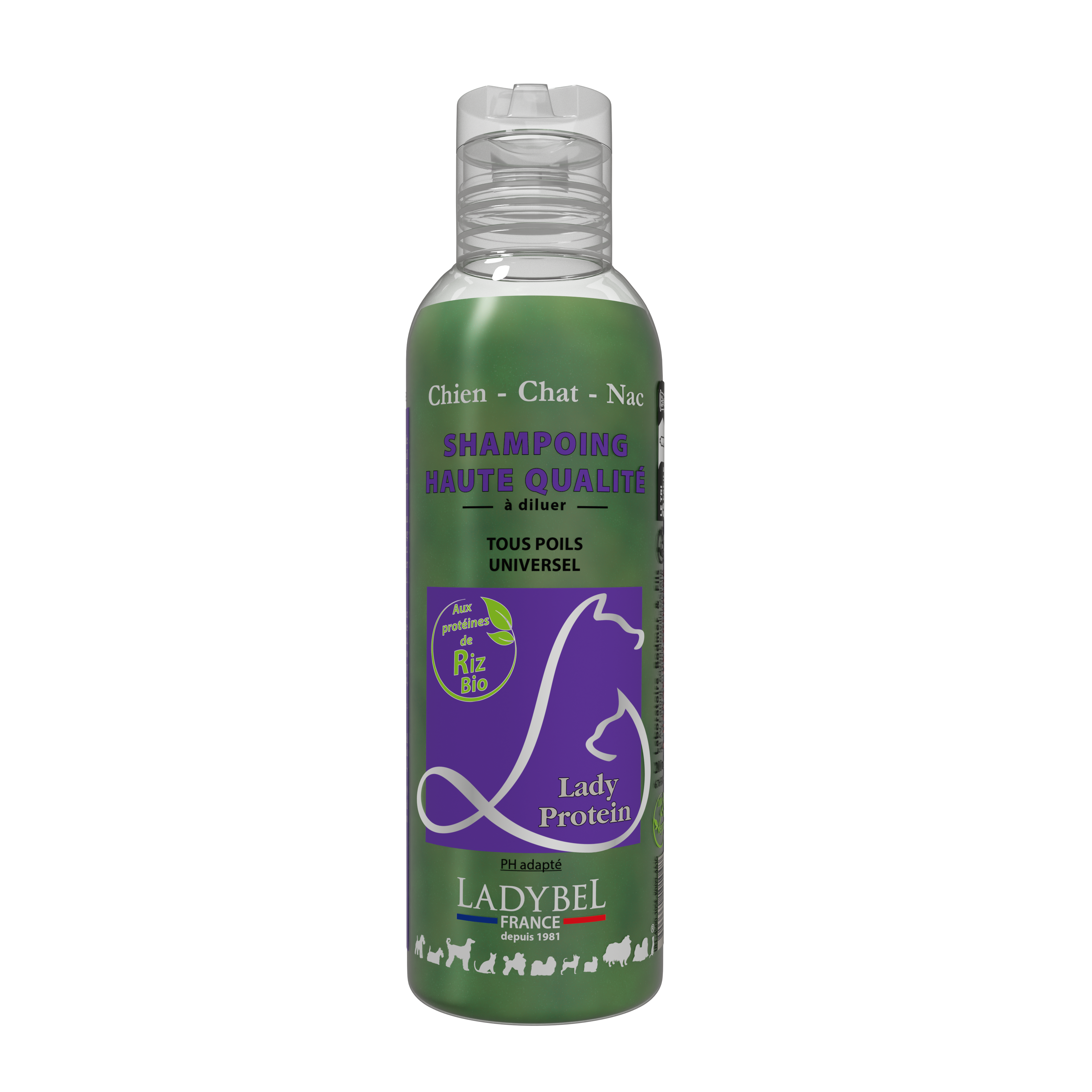 LadyBel Lady Protein Shampoo
