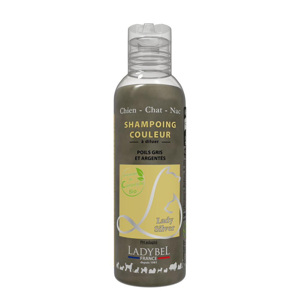 LadyBel Lady Silver Shampoo