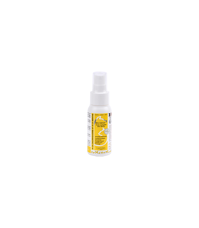 LadyBel Bel Dent Liquid Toothspray