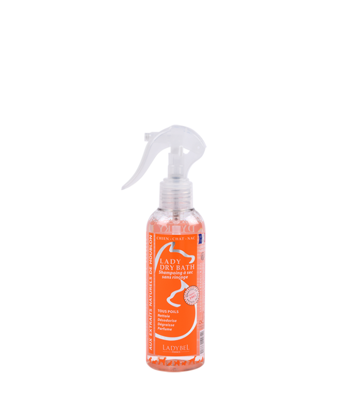 LadyBel Lady Dry Bath Leave-in Shampoo