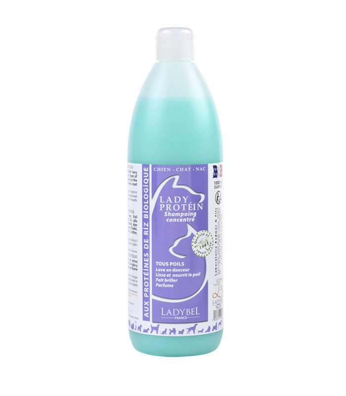 LadyBel Lady Protein Shampoo
